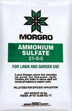 AMMONIUM SULFATE